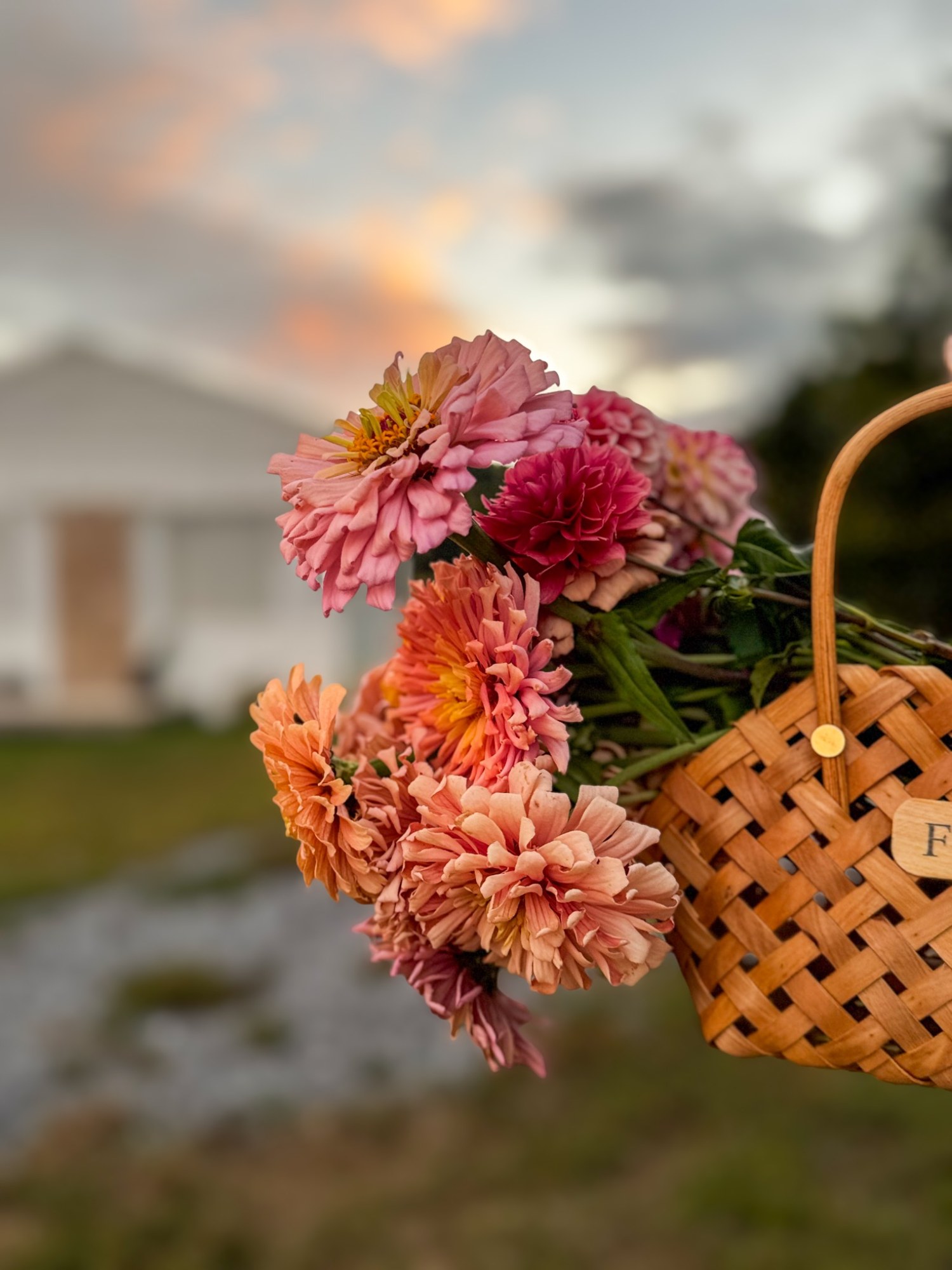 Fresh pink, peach, and burgundy flowers gathered in a woven basket at sunset